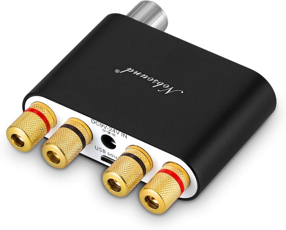 Nobsound NS-10G compatible amplifier rear view - OCRacing
